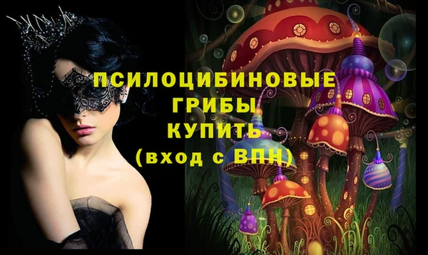 тгк Горнозаводск