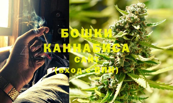 мдпв Горно-Алтайск