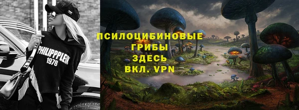 мдпв Горно-Алтайск