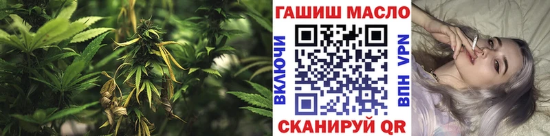Дистиллят ТГК Wax  Купить закладки  Павловский Посад 