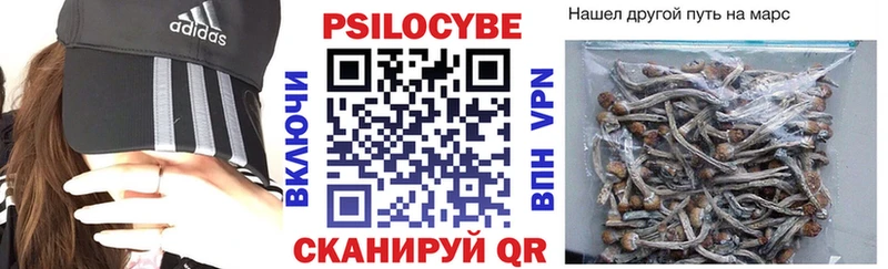 Купить где Павловский Посад Галлюциногенные грибы Magic Shrooms
